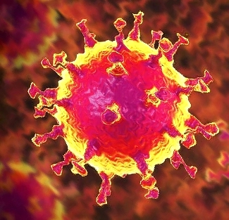 corona-2020-makler-braunschweig