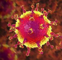 corona news 09-03-2021 makler braunschweig