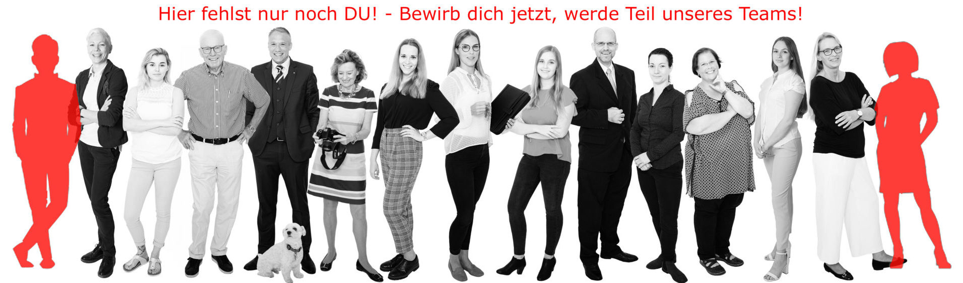 Wolter Makler Team Braunschweig Ausbildung